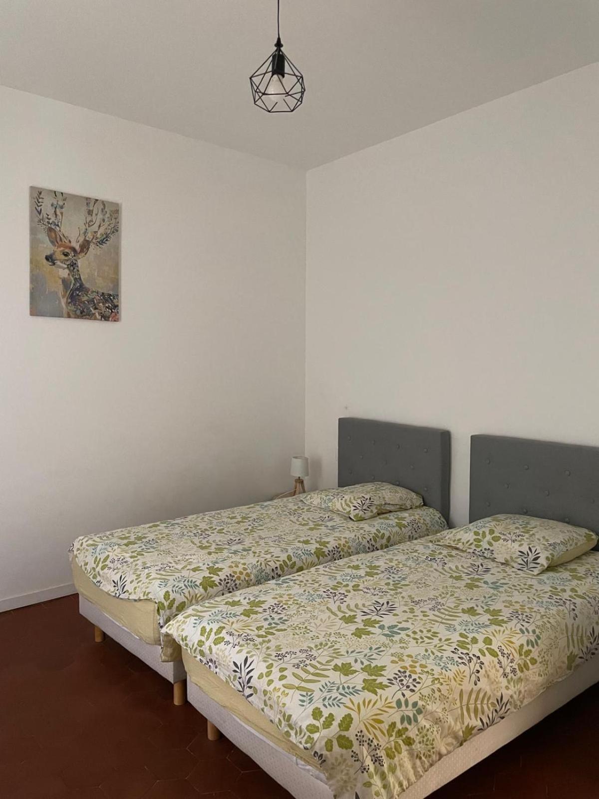 Appartement Gaudi Centre Historique Perpignan Exteriör bild
